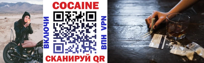 ссылка на мегу зеркало  Сольвычегодск  Cocaine Fish Scale  где найти  