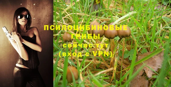 a pvp Волоколамск