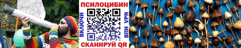 Псилоцибиновые грибы прущие грибы  Сольвычегодск 